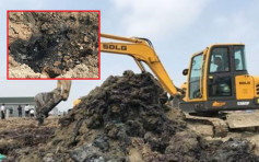 數萬噸化工廢料非法埋在長江岸邊 泰州市涉刻意隱瞞