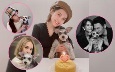 為Yumi慶祝16歲生日 楊丞琳心痛愛犬有認知障礙