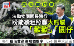 马克龙访华｜动物园园长随行 ：盼能续租照顾大熊猫「欢欢」「圆仔」