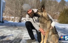 主人遇車禍受傷失溫 牧羊犬狂奔成功引導警察救人