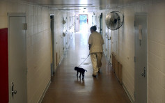 美新澤西州女子監獄爆醜聞 數十懲教毆打性侵囚犯被勒令休假候查