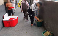 安徽小学营养餐溢出垃圾桶 校方：众口难调