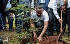埃塞俄比亚12小时植树逾3.5亿棵  刷新世界纪录