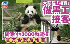 大熊猫「福宝」做黑工？︱网传付2000元即近距离接触  官方急澄清……