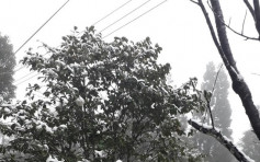 寒流侵袭台湾多区 新北市乌来也下雪