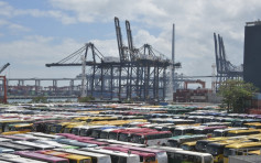 今年上半年港口貨物吞吐量按年跌2.9%