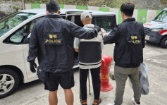 牛头角69岁男子涉贩毒被捕 警检245粒「鱼蛋仔」