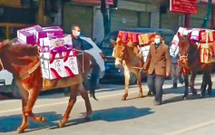 丹鳳熱心民眾 騾馬隊捐物資