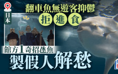 日本水族馆翻车鱼因没游客抑郁  饲养员制假人解愁