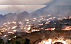 「中國最後原始部落」雲南翁丁村發生火災