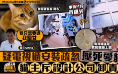 星岛申诉王｜家中电视柜倒塌压死爱猫     猫主控诉设计公司离谱失职    誓为「女儿」讨回公道