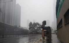 天文台指荃灣區雨勢特別大 已錄得或預料每小時超過70毫米雨量