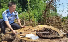 湖南公安捣破毒树集团拘20人 35棵古树遇害