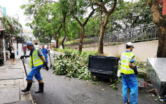 【山竹远离】食环署动员8000人清理塌树 务求尽快恢复路面交通