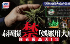 泰國擬禁娛樂用大麻　違者最高囚1年
