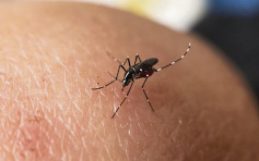 中山大学「阉」雄蚊技术 料每周产5000万只将蚊子绝后