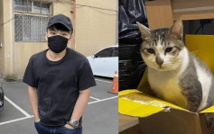 台灣虐待動物入獄第一人 男子虐殺女友愛貓被判刑7個月