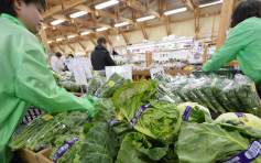 美國廢除福島等14縣百項農產品進口 傳歐盟下月相繼放寬