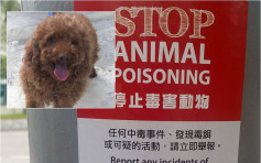【毒狗恐慌】華明邨貴婦狗散步改路綫仍遭毒害 至少7隻狗遇害