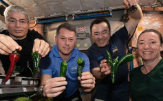 国际太空站首批辣椒收成 太空人开Party庆祝