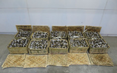 39岁男子涉走私逾600只大闸蟹被捕