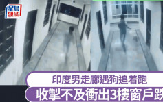 逗狗变跳楼｜印度男在饭店走廊调皮追狗 跑太快冲出窗外跌死