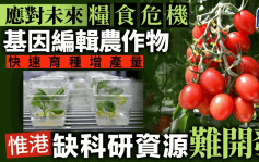 每日雜誌｜精準修改植物基因  基因編輯快速育種增產量  港缺科研資源難開發