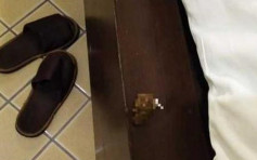 布吉島酒店床上驚見糞便 上海客遭職員威脅不可聲張