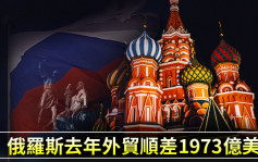 俄羅斯去年外貿順差1973億美元 增長0.9倍