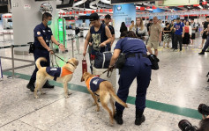 非法攜生肉雞蛋等回港趨升 今年首8月逾1300宗 國慶黃金周跨部門加強打擊