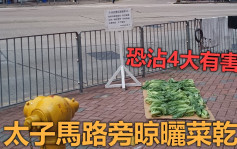 Juicy叮｜太子马路旁晾晒菜乾 专家警告或沾4大有害物质