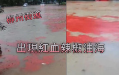 廣西柳州暴雨後 街道漂浮恐怖「紅血辣椒油海」