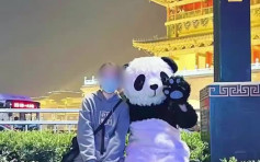 西安现熊猫卡通人合影后索收费 游客疑被骗