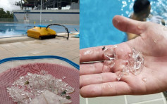 東涌荃灣等公眾泳池積玻璃碎 拯溺員工會斥未清理已開放極不負責
