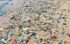 本港去年下半年海洋垃圾達9084噸