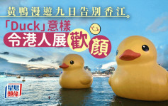黃鴨重臨·圖輯｜黃鴨漫遊九日告別香江 「Duck」意樣令港人展歡顏
