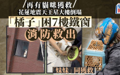 台湾花莲地震︱天王星大楼再有家猫获救  罹难康老师爱猫诱捕中
