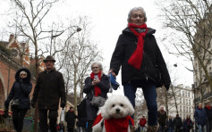 巴黎逾万人参加「红颈巾」游行 反对「黄背心」示威
