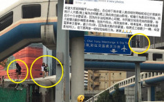 青年爬「志明橋」頂「打卡」　驚動8緊急車輛被斥罔顧安危