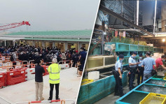 跨部門巡三跑地盤及香港仔魚市場 拘13人部份為非法入境者及通緝犯