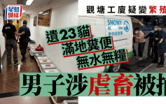 觀塘工廈疑變繁殖場遺23貓 滿地糞便無水無糧 男子涉虐畜被捕