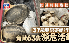 37歲菲男涉攜63隻受管制活龜來港 被控進口瀕危物種及虐待動物等罪 押5月再訊