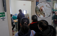 西安爆鼠疫 專家提醒民眾避免接觸鼠類及其排洩物