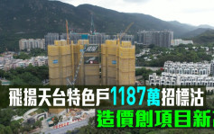 熱辣新盤放送｜飛揚天台特色戶1187萬招標沽 造價創項目新高