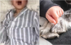 致命狂犬病︱广西8岁男童被狗抓伤家人当小事  5天后确诊20天后死亡
