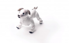 相隔11年Sony推新一代機械狗Aibo 售價1.4萬港元