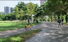 新加坡派「无头机械狗」巡逻公园 估算人潮及提醒社交距离