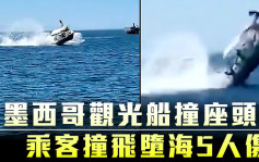 墨西哥觀光船撞座頭鯨 乘客撞飛墮海5人傷