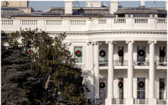 白宫200年木兰树腐蚀严重将被砍掉