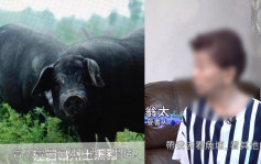 东张西望丨师奶跟好友内地一日游误堕「买猪猪骗局」  痛失逾60万再被叫买陈皮